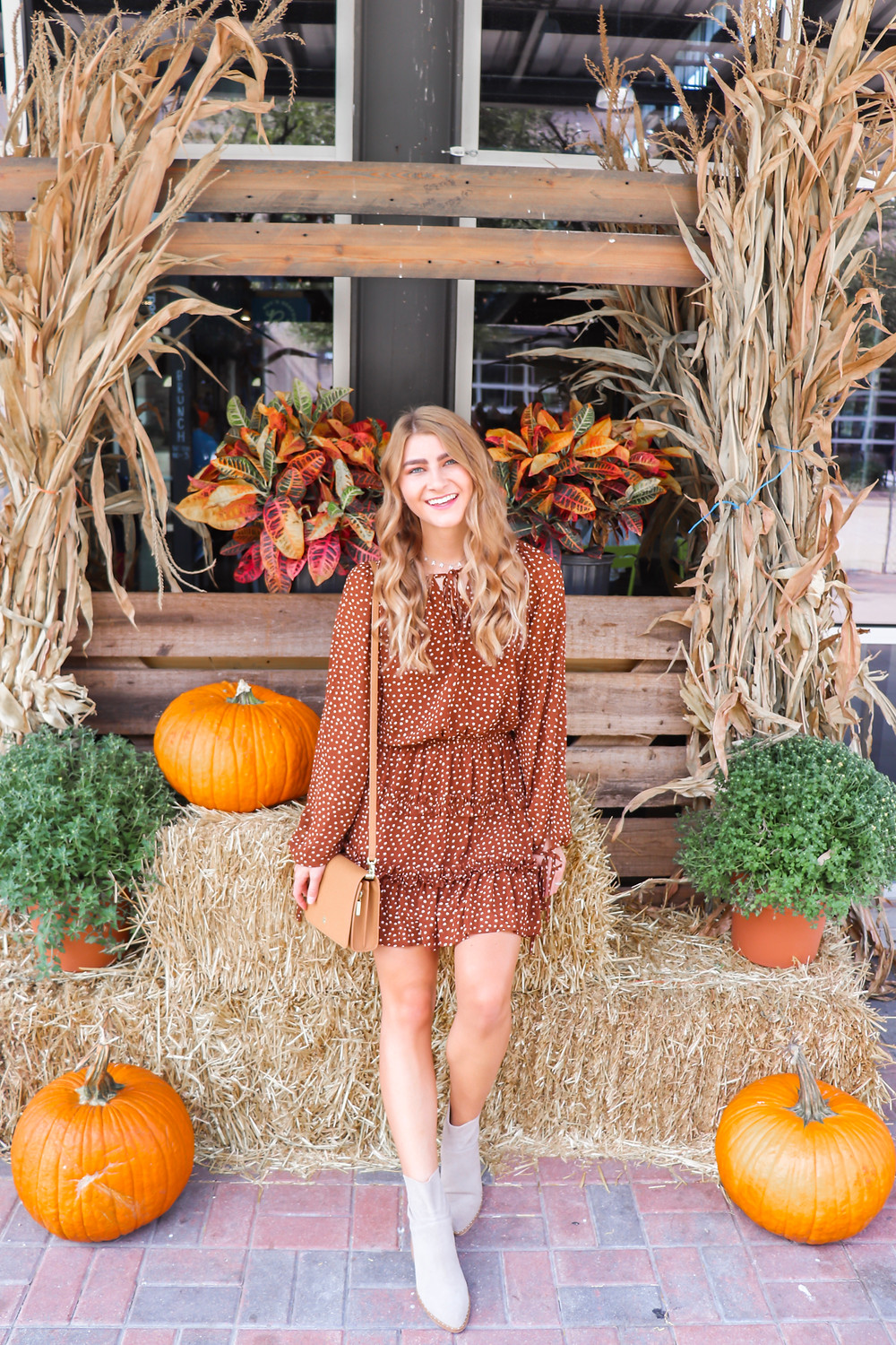 fall bucket list for dallas, tx