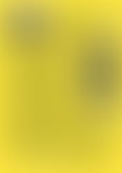 Accadeva un sabato di marzo nel 1911...