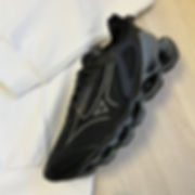 Mizuno prophecy 14