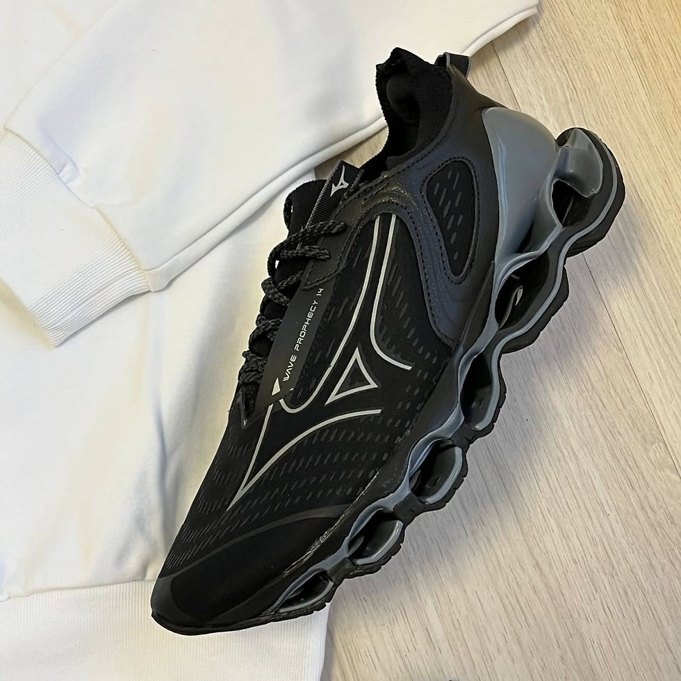 Miniatura: Mizuno prophecy 14