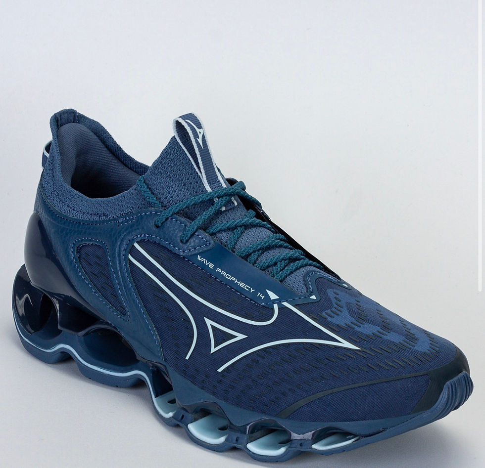 Miniatura: Mizuno prophecy 14