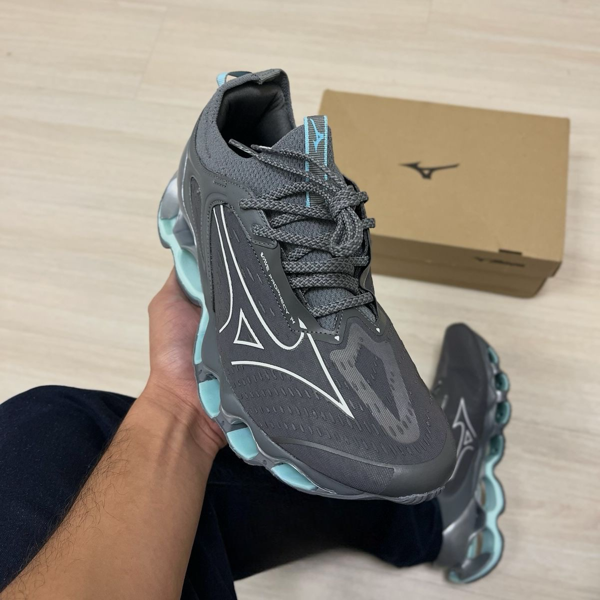 Mizuno prophecy 14