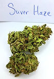 Suver-Haze.jpg