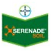 ftserenade.png