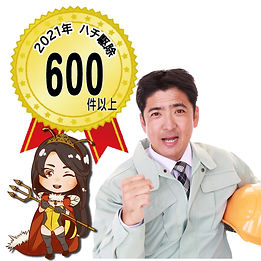 ハチの駆除 年間600件以上