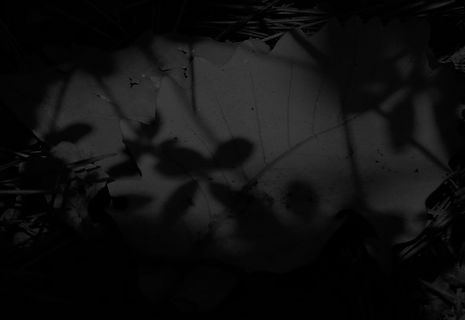 IMG_8636 kopie 2.JPG