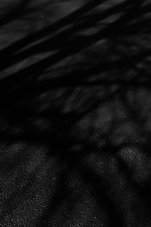 IMG_1948 kopie 3.JPG