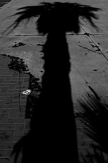 2205 (60 x 80).JPG
