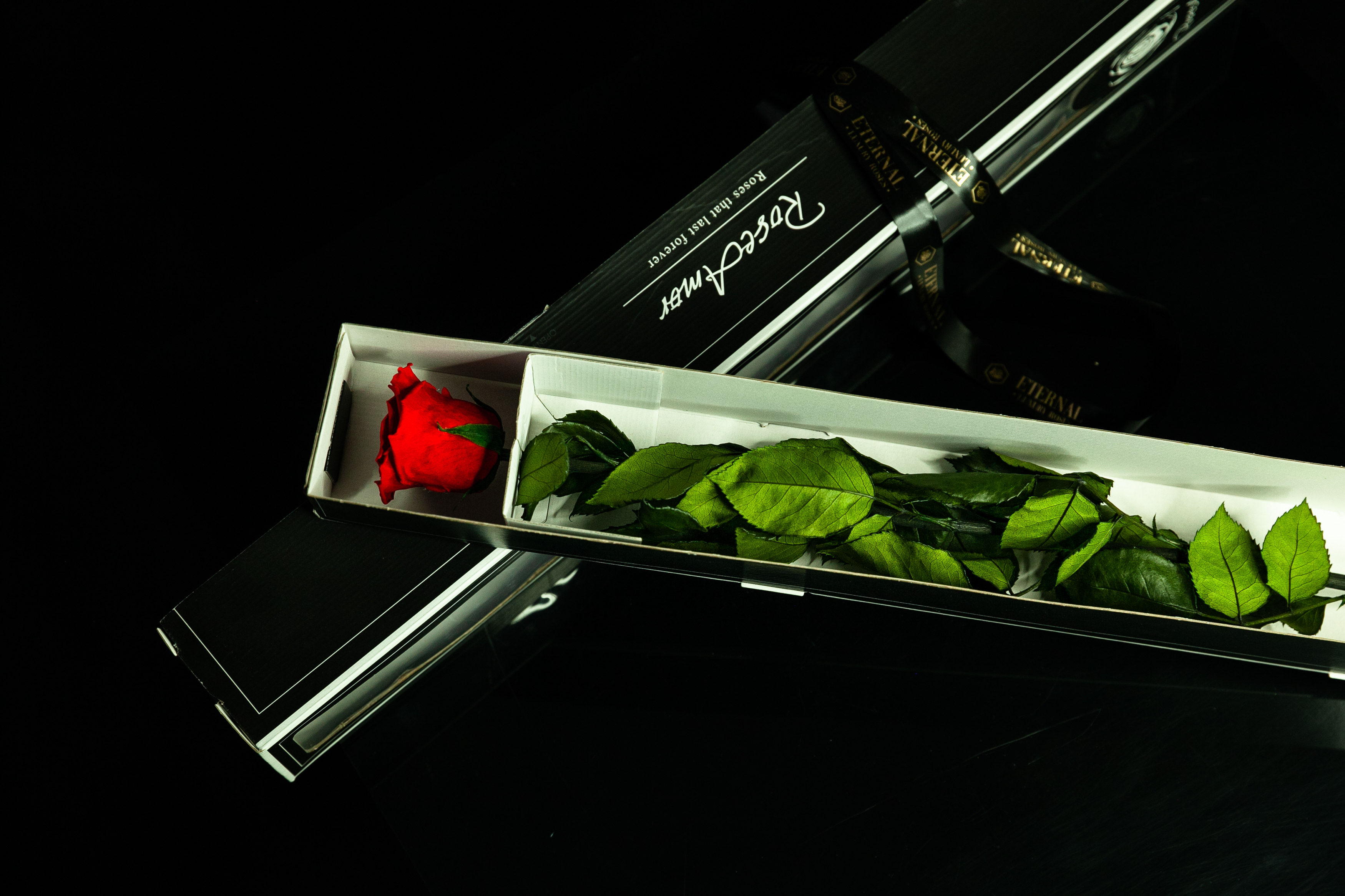 Rosa stabilizzata con stelo di 60cm