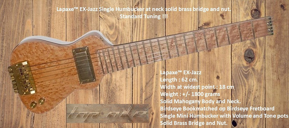 ギター Lap axe EX series Lapaxe Travel Guitars in Standard Tuning