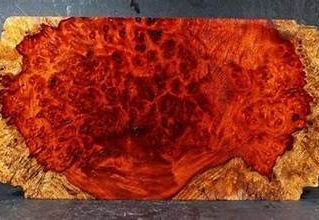 Sustainable Exotic South East Asian woods used by Lapaxeâ„¢Guitars !!!