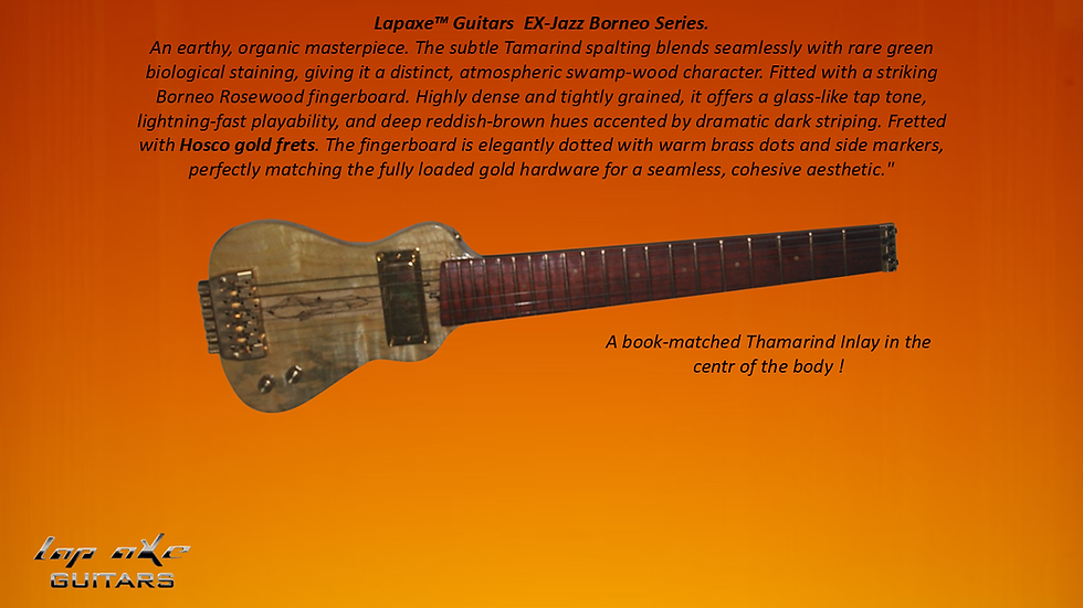 EX-Jazz Borneo B-1