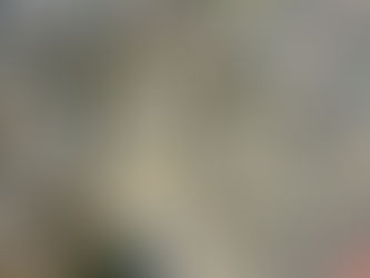 EN LA PAZ NO DEJAREMOS IR PROYECTOS EN BENEFICIO DEL PUEBLO: PRESIDENTA MARTHA GUERRERO