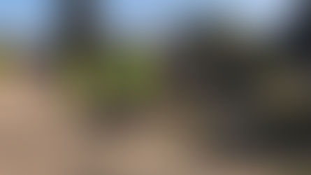 EN EL MUNICIPIO DE LA PAZ LIMPIAN LAS VÍAS DEL TREN