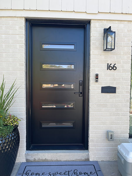 black provia modern door