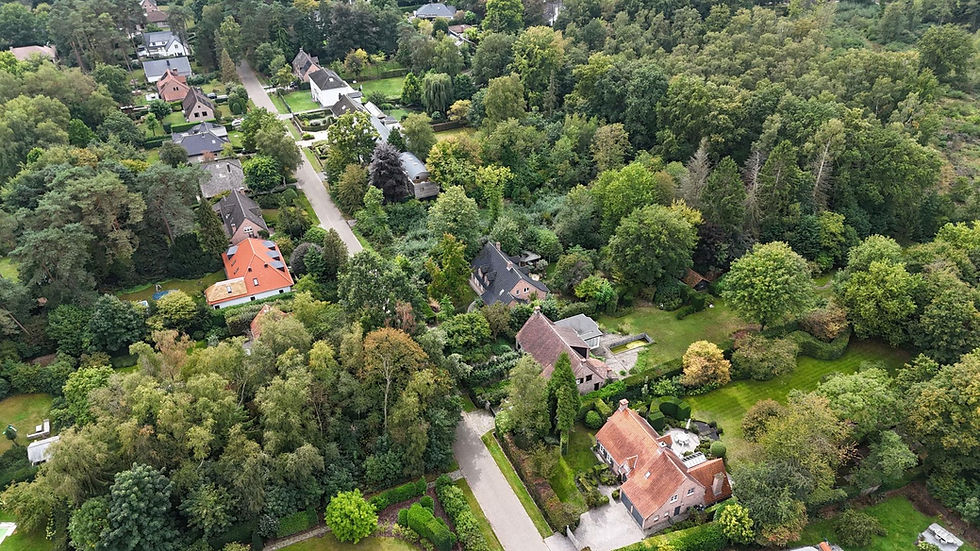 Luchtfoto van villa's in bosrijke omgeving.