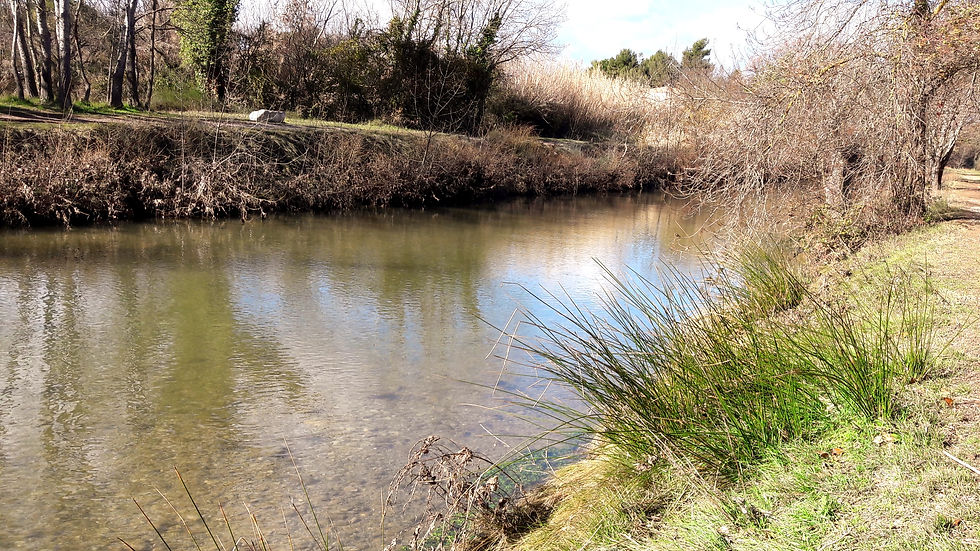 Balade Rivière