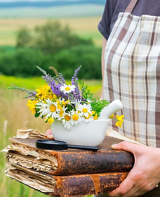 formation longue plantes_edited_edited.jpg