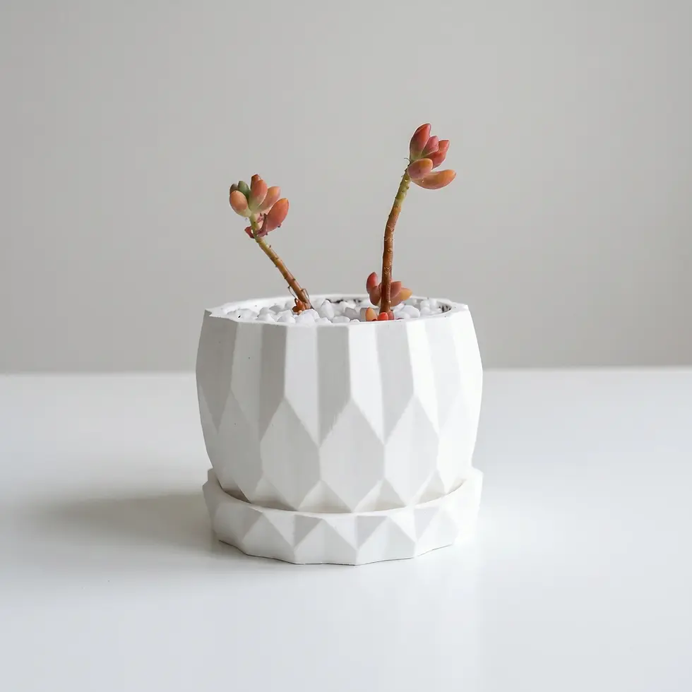White Rhombus Shaped Ceramic Flowerpot with base