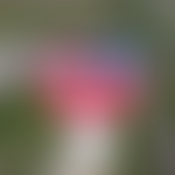 High-Performance Coatings for Water Tanks: Protecting Steel, Water Quality, and Long-Term Appearance