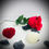 Thumbnail: Heart of Roses Mini Tumbler