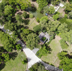 บ้านในป่า