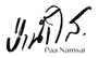 Paa Namsai Logo