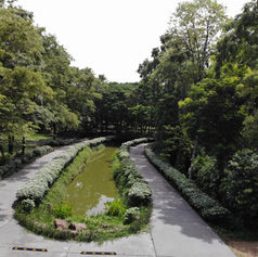 บ้านในป่า