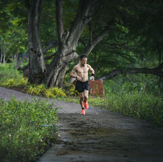 วิ่งในป่า