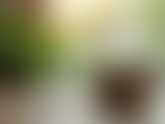 Balancing Your Financial Future with Smart Tax Strategies