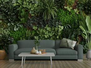 Green Living Spaces: The Future of Environmentally Conscious Home Design