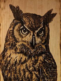 Owl Portrait