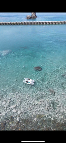 積丹の海