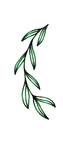 6859f1cc-982a-4e0e-8d0d-86dc3d270e8c_edi