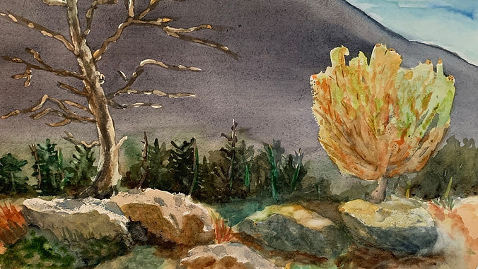 The Faithfulness of Christ