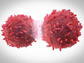 Buenos resultados para la medicina contra el cáncer