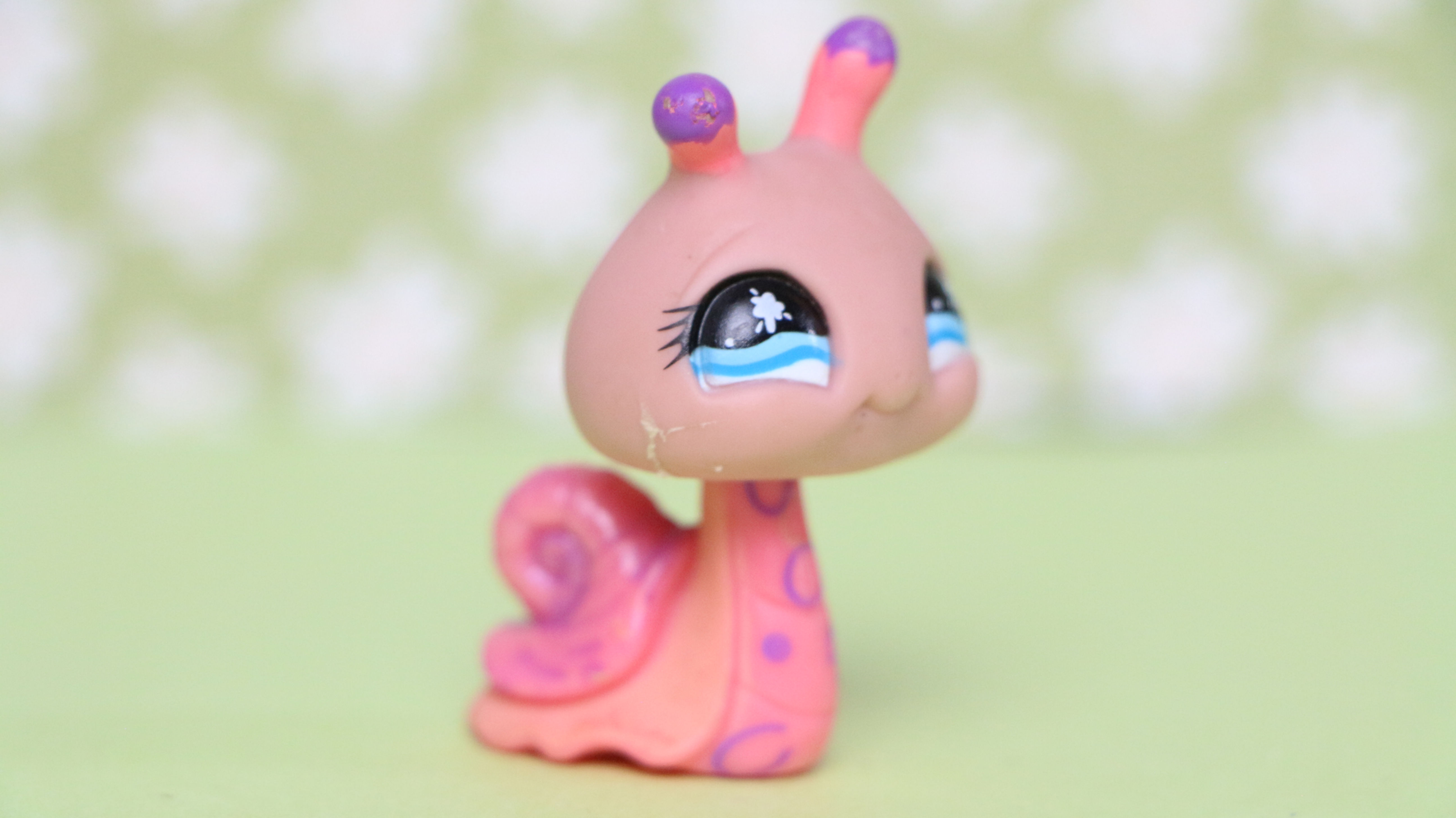 LPS Snail #823