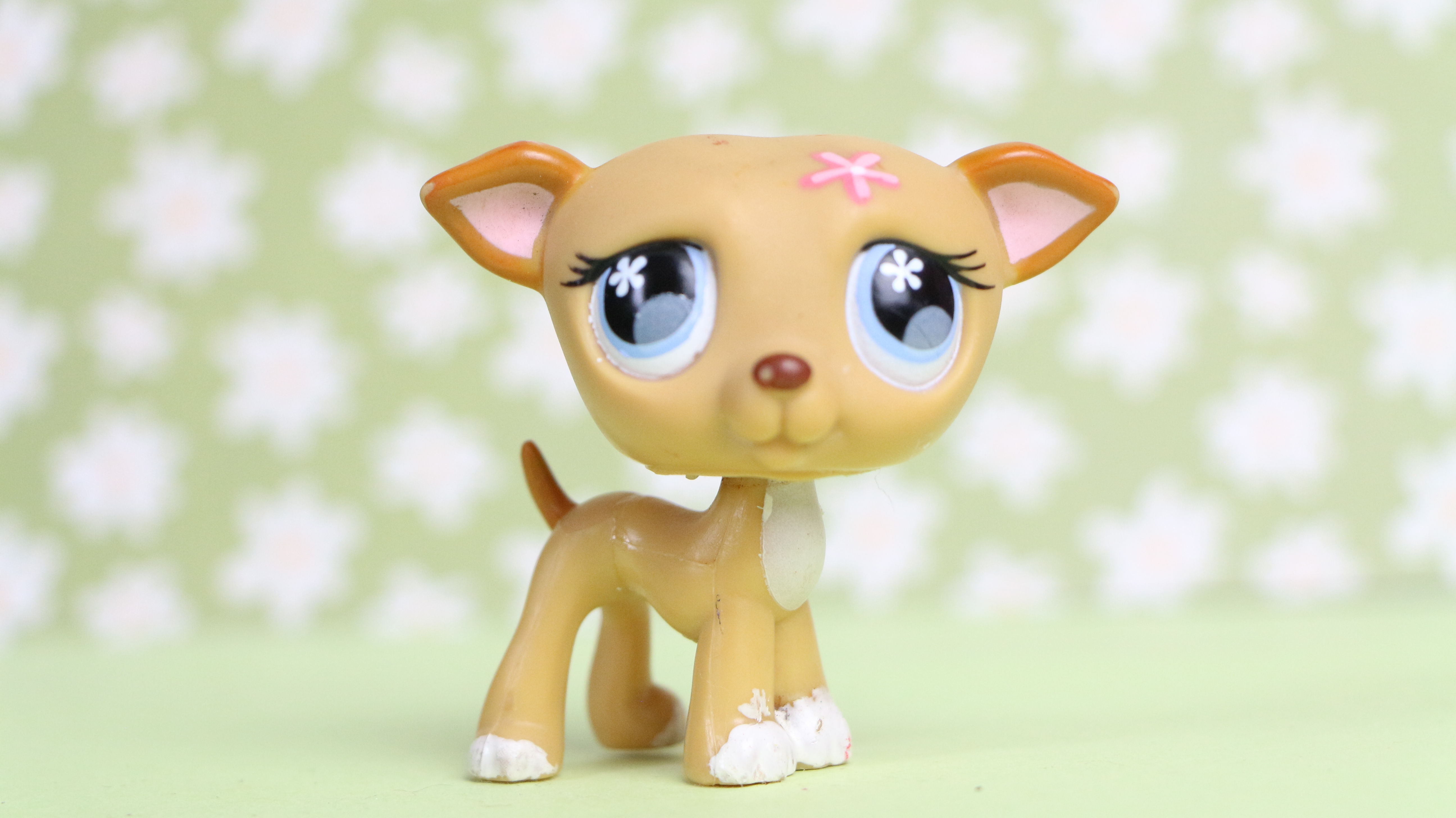 LPS Greyhound Dog #498