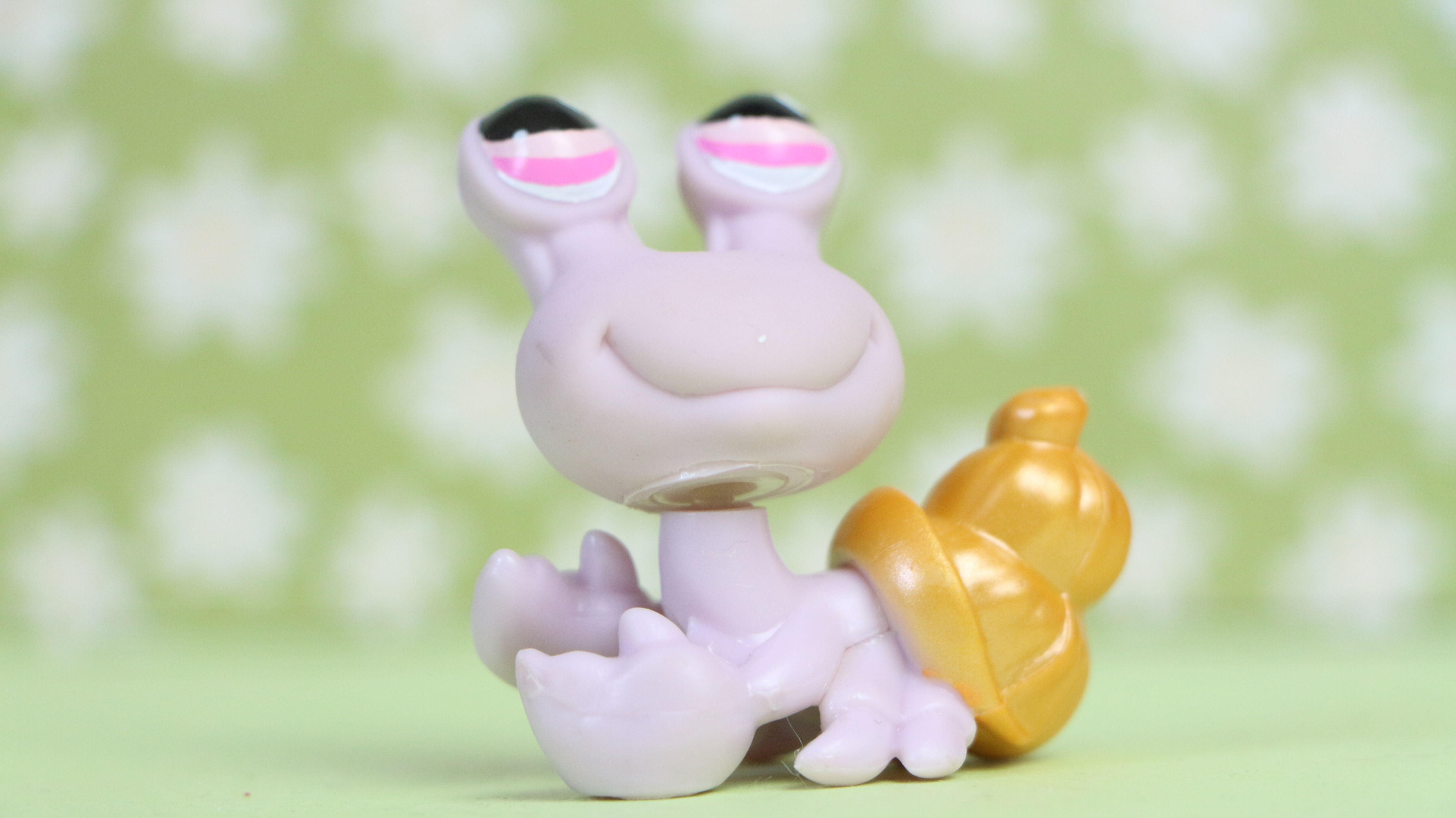 LPS Hermit Crab #859