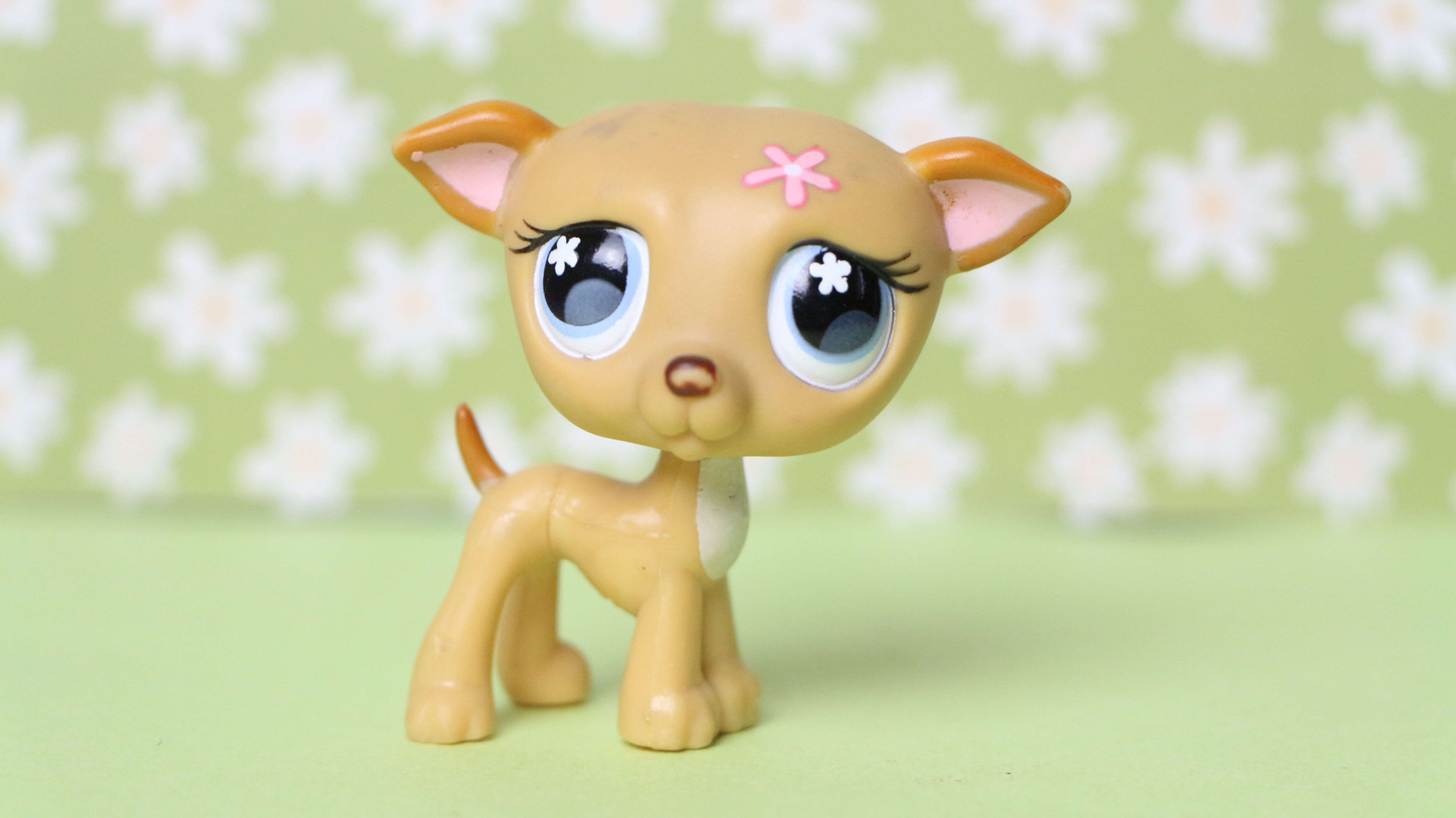 LPS Greyhound Dog #498