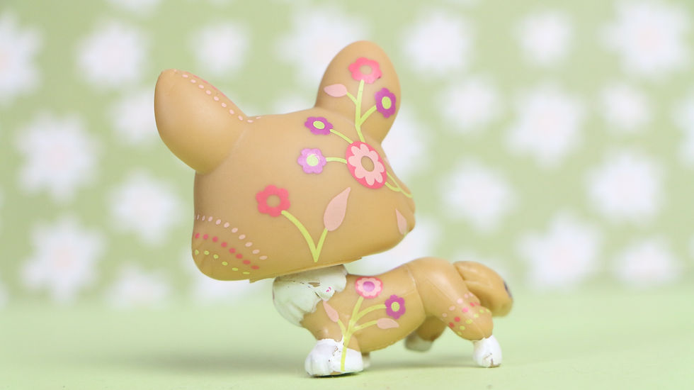 Miniature : LPS Corgi Dog #1851