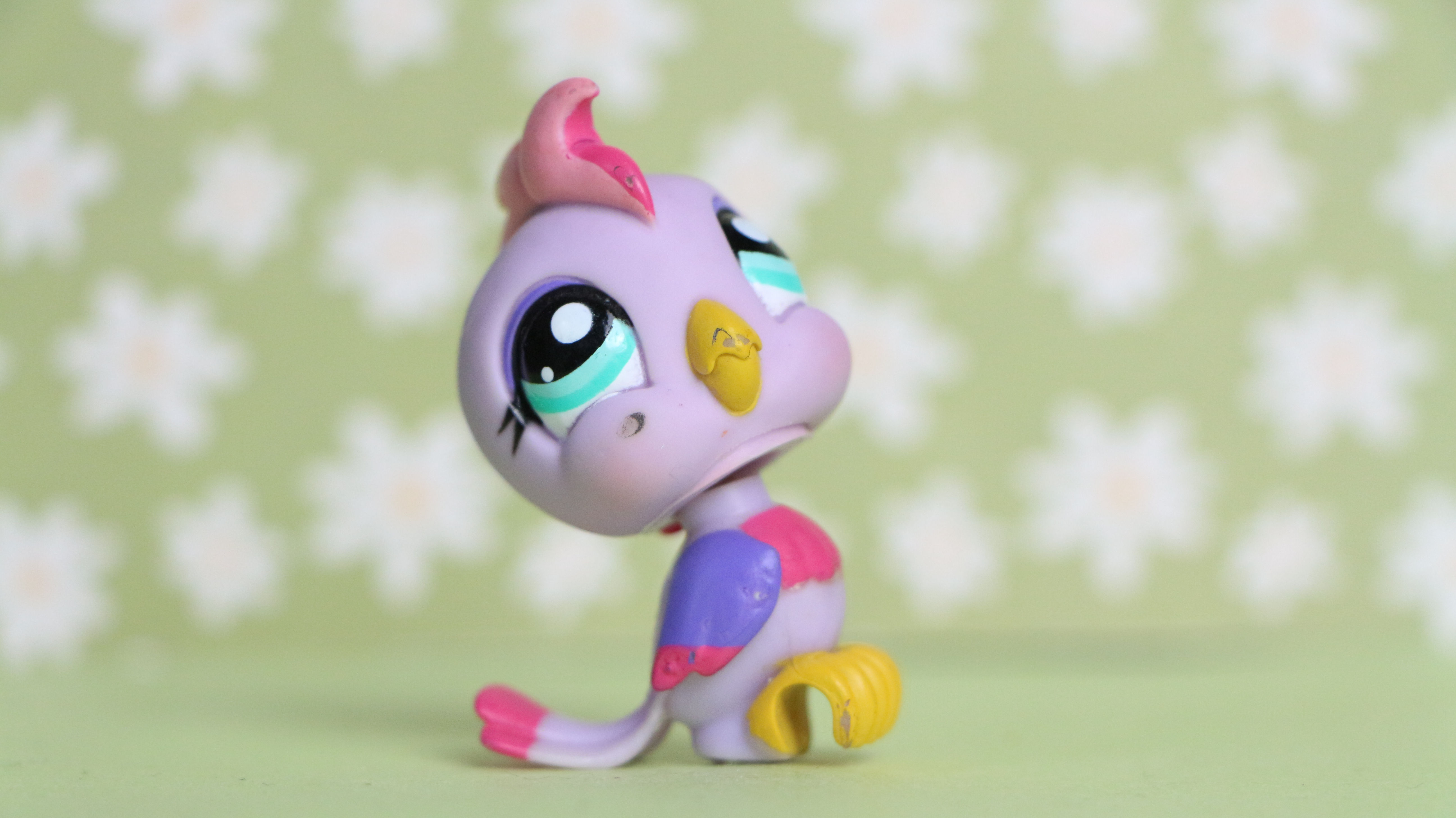 LPS Cockatoo Bird #1459