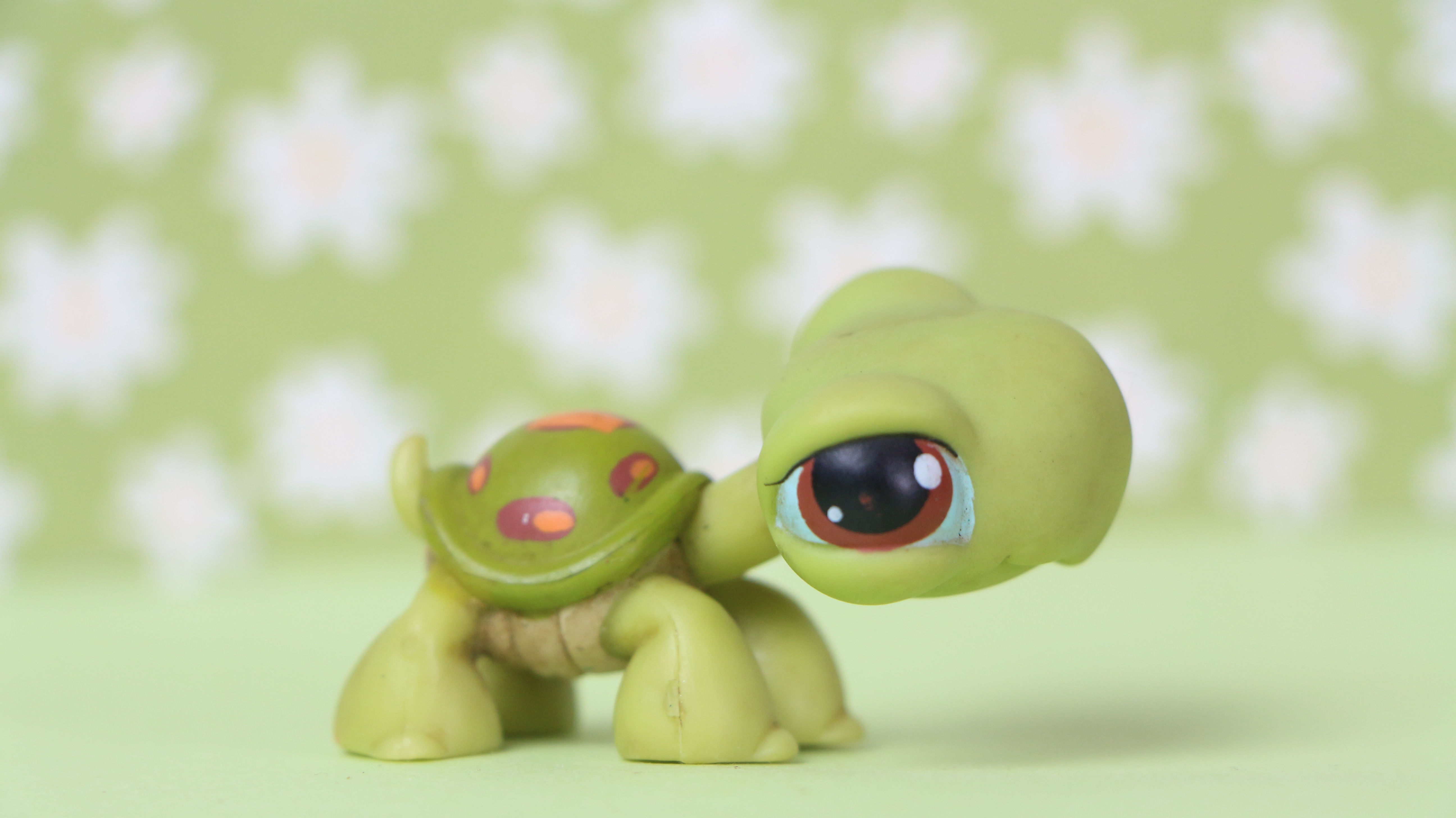 LPS Turtle #8