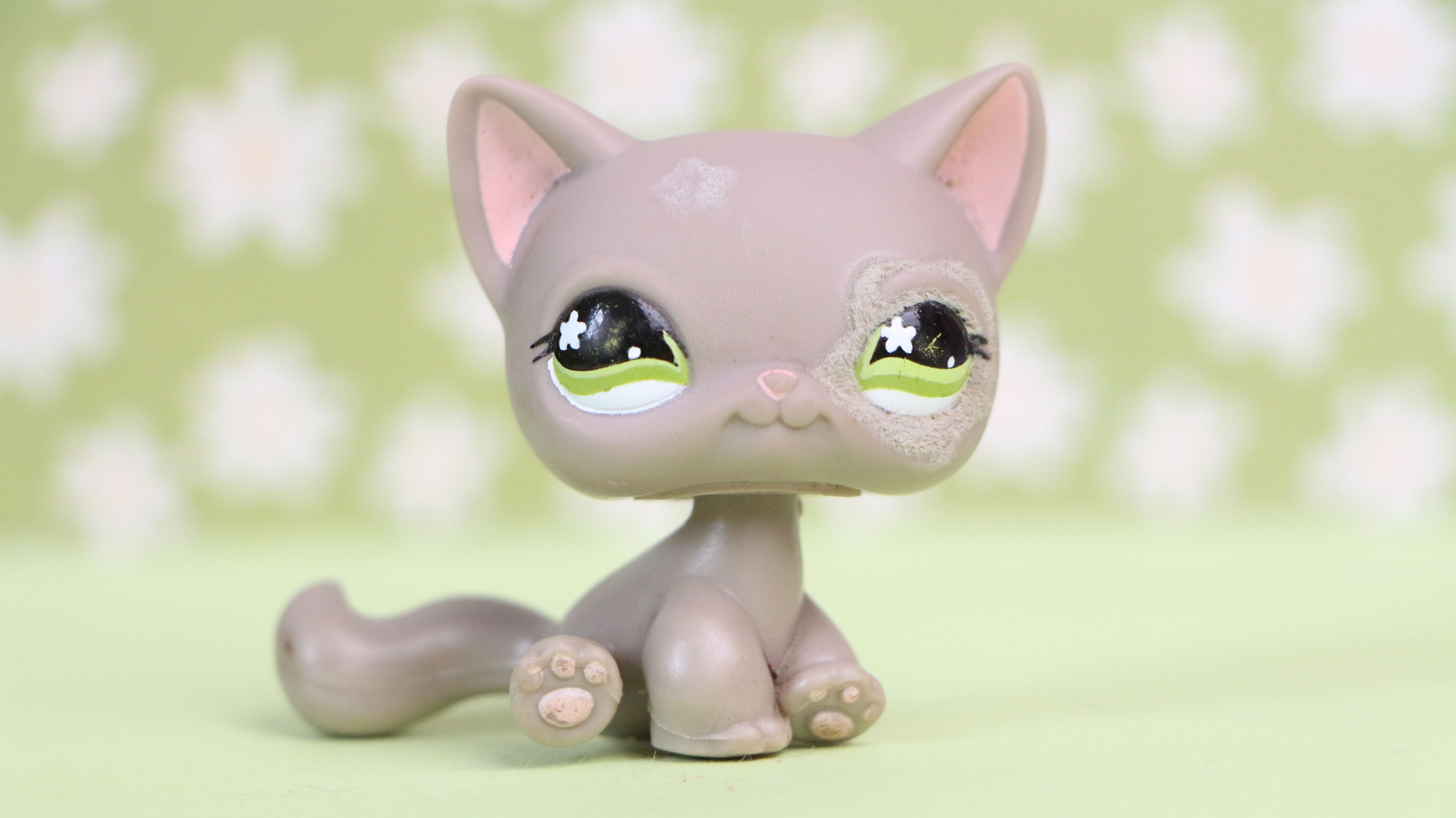 LPS Cat #467