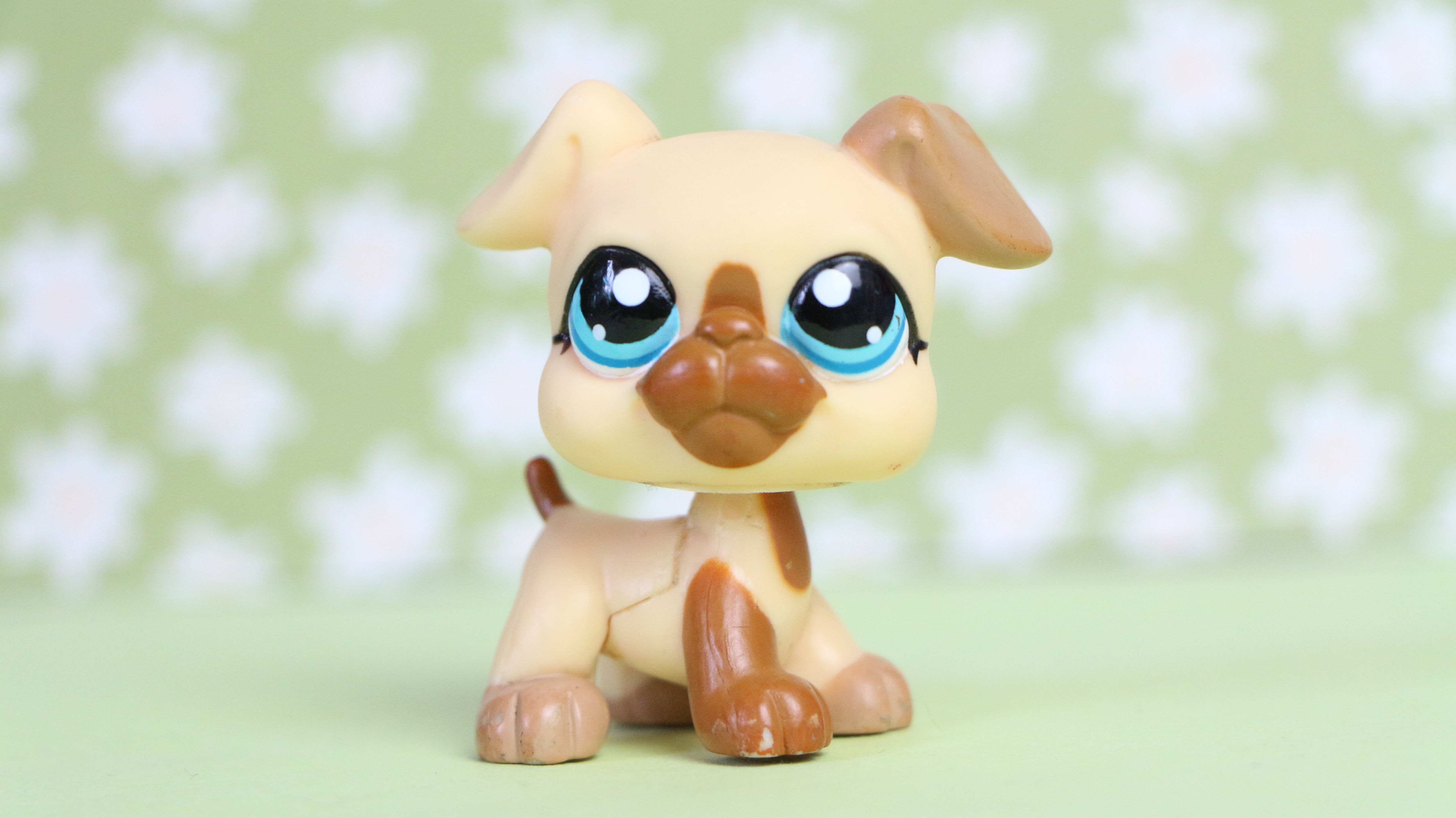 LPS Boxer Dog #1519