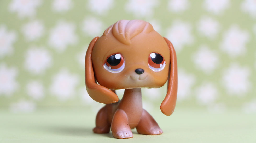 Littlest Pet Shop LPS Spielset Grooming Spa - acheter sur Littlest Pet Shop LPS Spielset Grooming Spa - acheter sur
