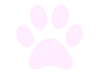 paw_edited_edited_edited.png