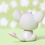 Miniature : LPS Mouse Rat #116