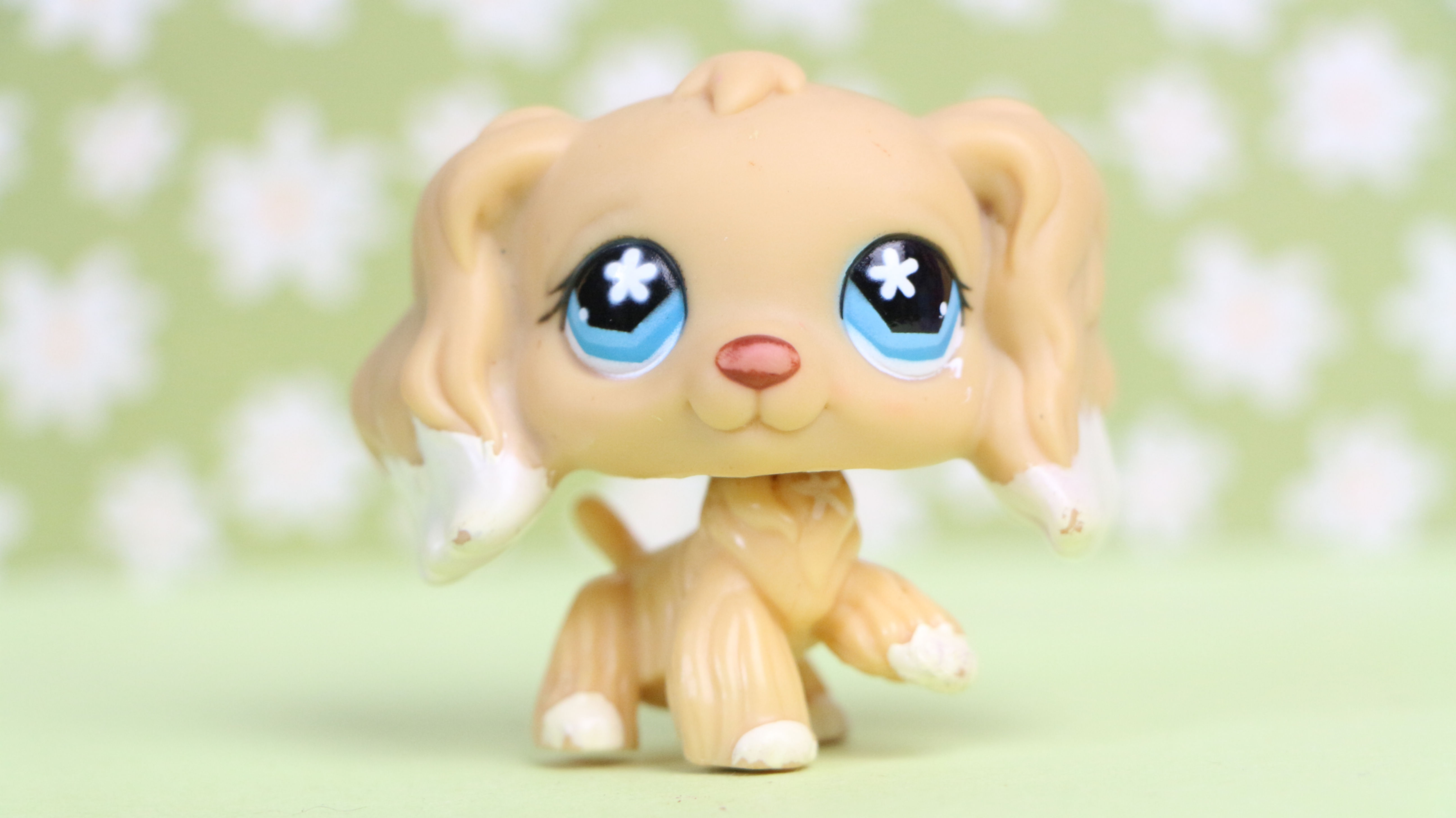 LPS Cocker Dog #748