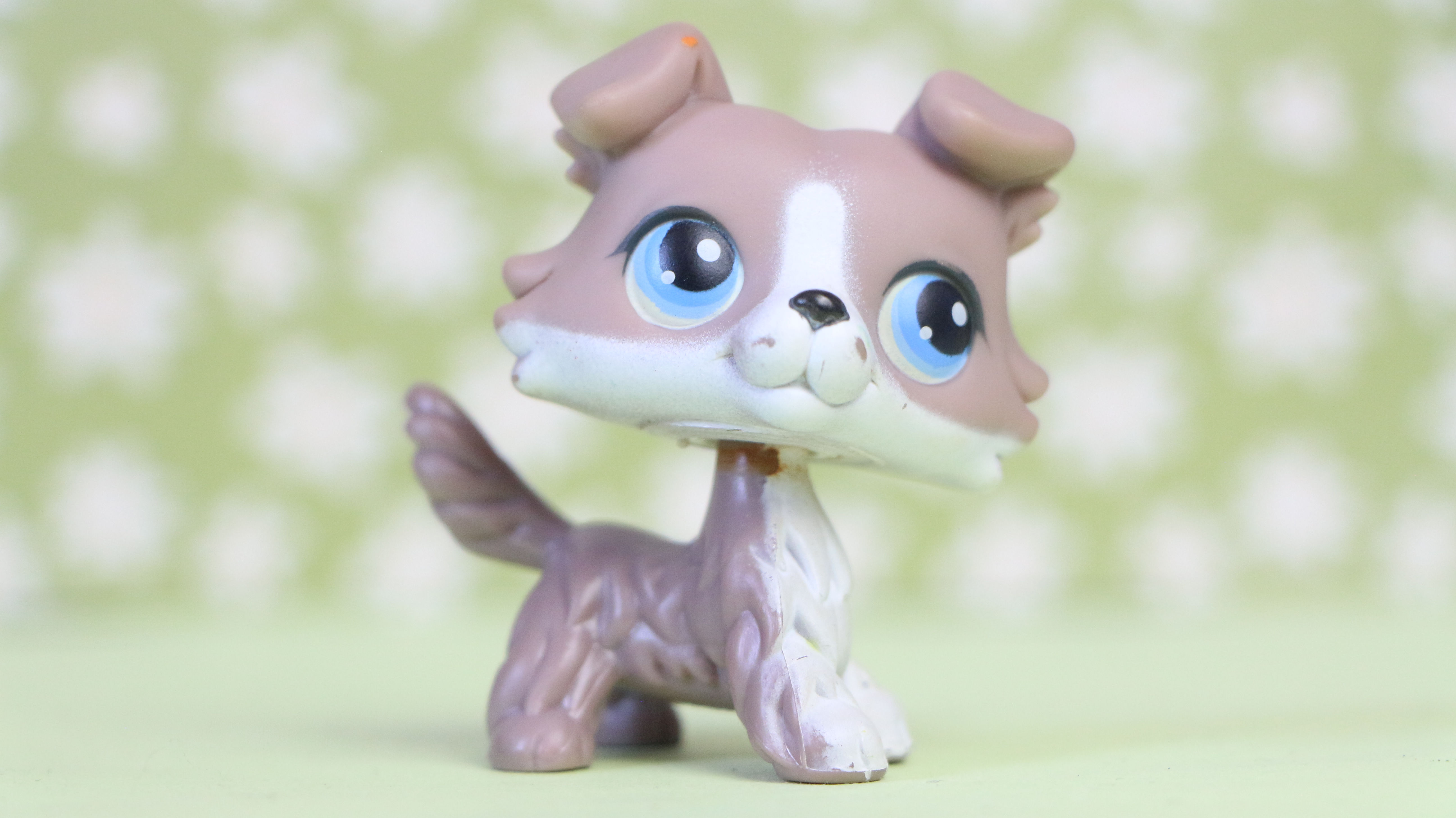 LPS Collie Dog #67